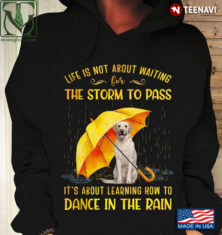 Golden Retriever Life Is Not About Waiting The Storm To Pass It's About Leaning How To Dance