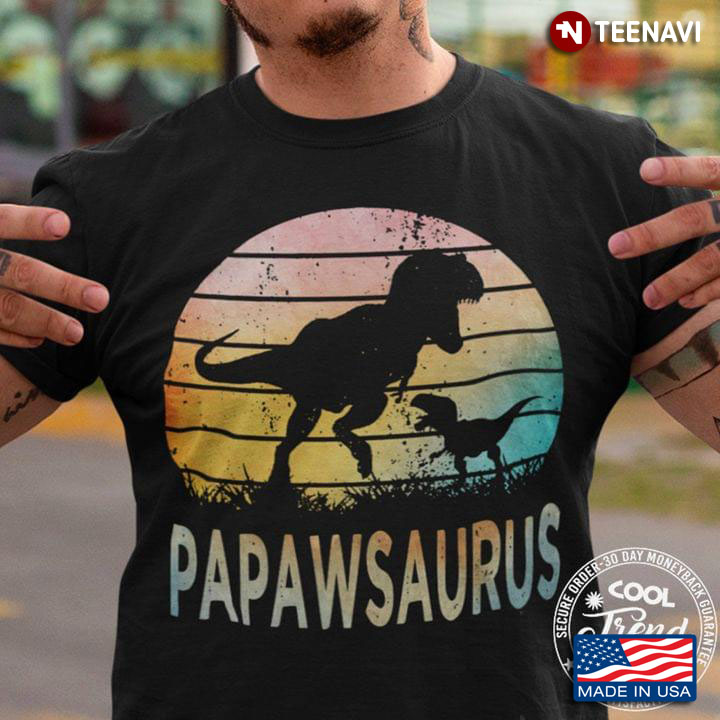 Papawsaurus Funny Baby and Daddy T-Rex Vintage Style for Awesome Dad