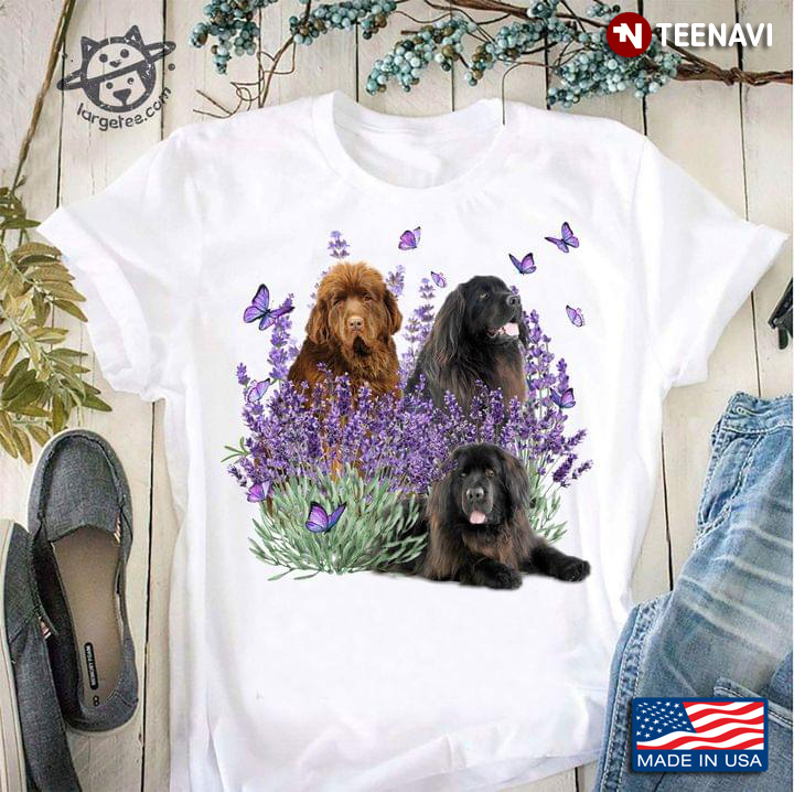 Three Newfoundland Dogs Butterflies And Lavender
