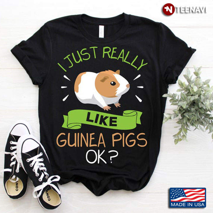 I Just Really Like Guinea Pig Ok For Animal Lover