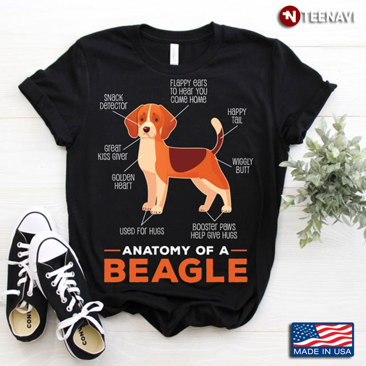 Anatomy Of A Beagle For Dog Lover