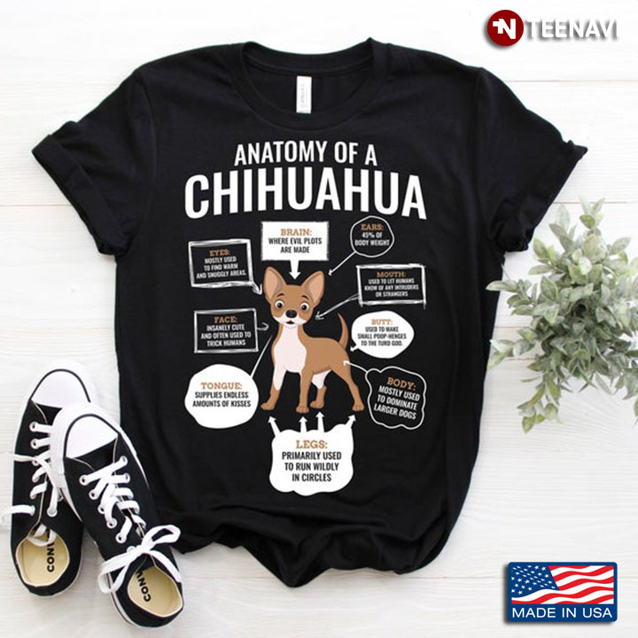 Anatomy Of A Chihuahua For Dog Lover