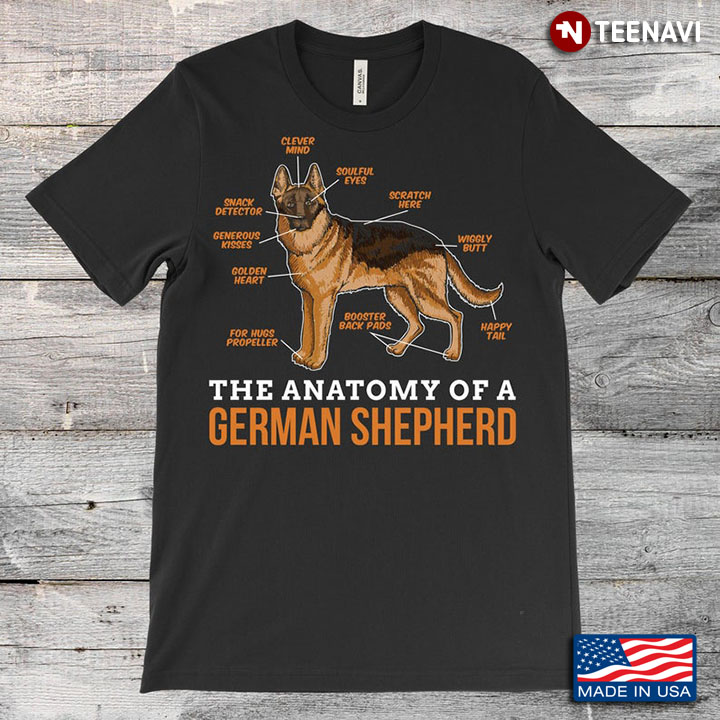 The Anatomy Of A German Shepherd For Dog Lover
