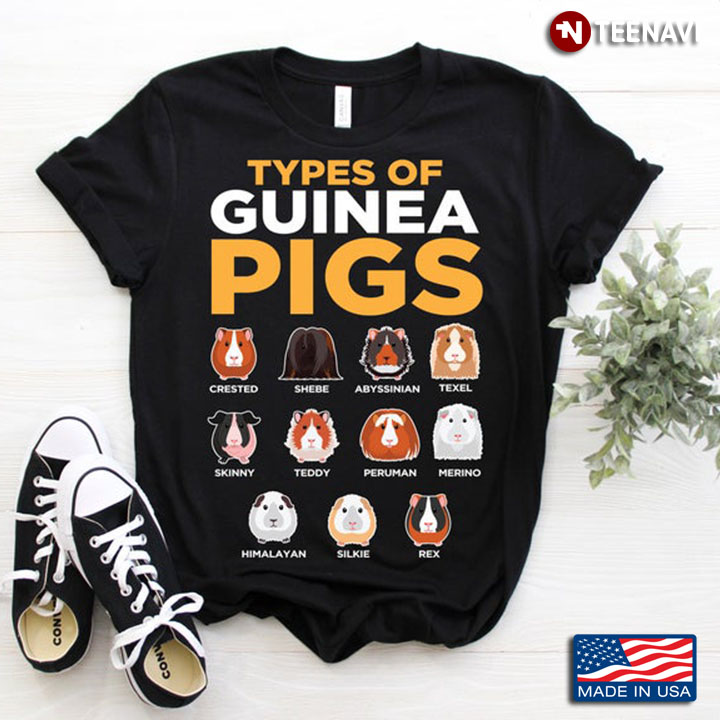 Types Of Guinea Pigs For Guinea Pig Lover