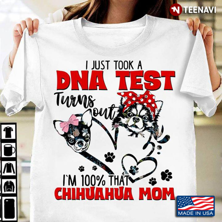 I Just Took A DNA Test Turns Out I'm 100% That Chihuahua Mom