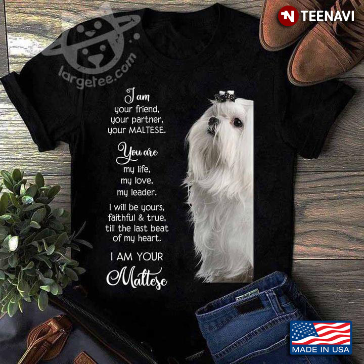 I Am Your Friend Your Partner Your Maltese You Are My Life My Love My Leader For Dog Lover
