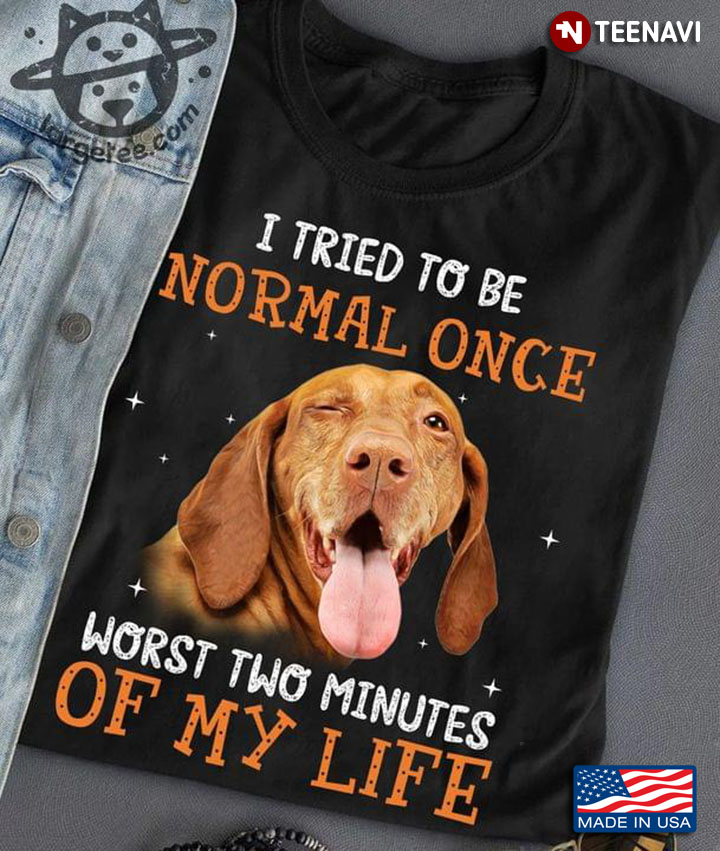 Vizsla I Tried To Be Normal Once Worst Two Minutes Of My Life For Dog Lover