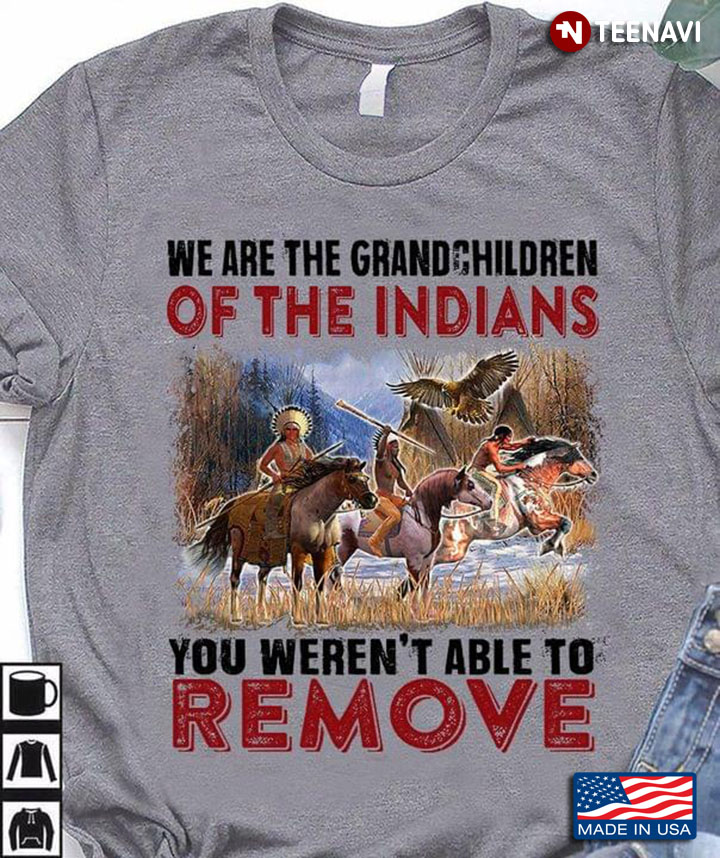 We Are The Grandchildren Of The Indians You Weren't Able To Remove