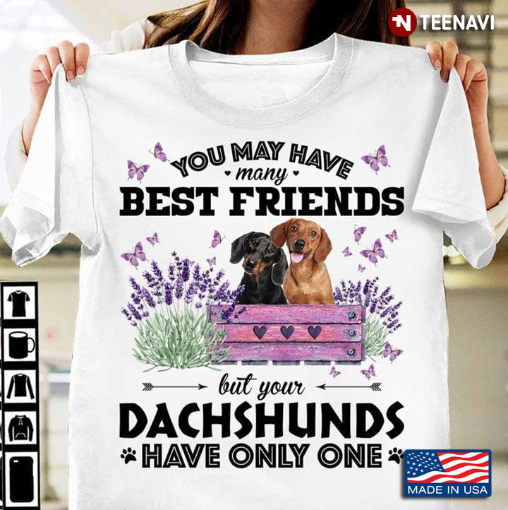 You May Have Many Best Friends But Your Dachshunds Have Only One For Dog Lover