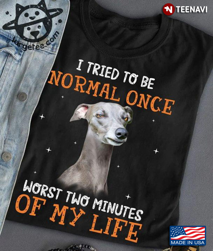 Greyhound I Tried To Be Normal Once Worst Two Minutes Of My Life For Dog Lover