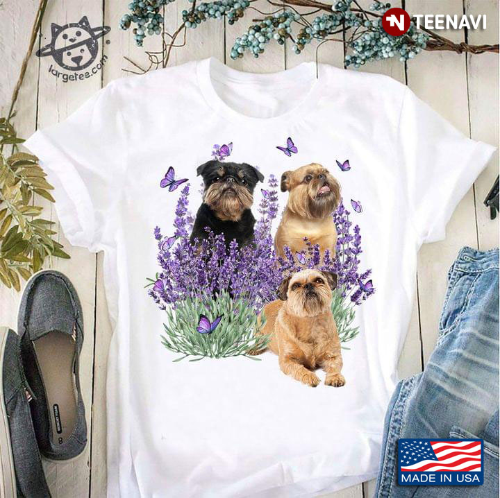 Brussels Griffon Dog With Lavender Flowers And Butterflies