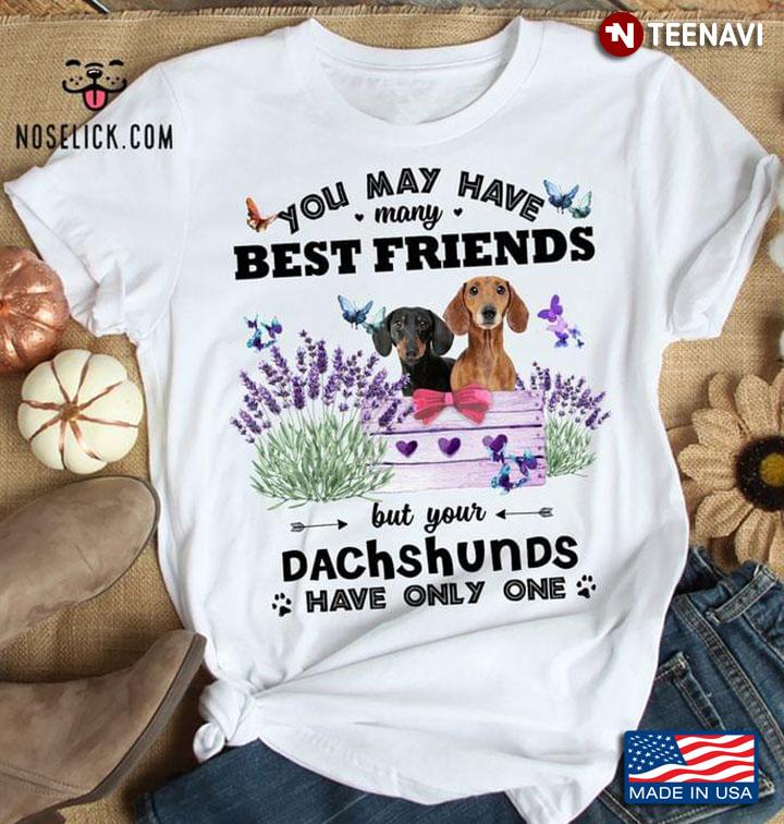 You May Have Many Best Friends But Your Dachshunds Have Only One
