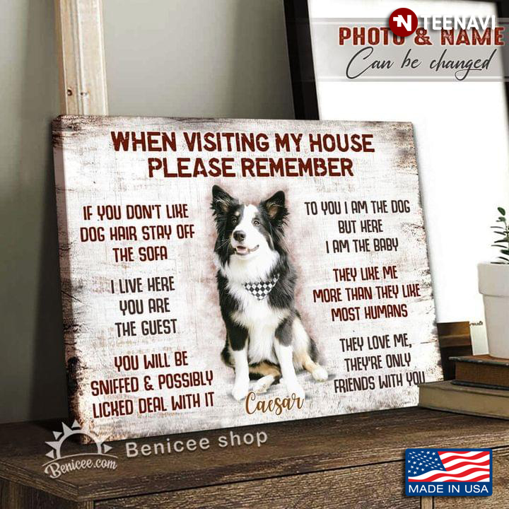 Vintage Customized Name Border Collie When Visiting My House Please Remember If You Don’t Like Dog Hair Stay Off The Sofa
