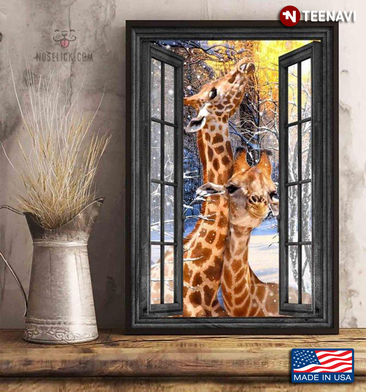 Vintage Window Frame With Giraffe Couple In The Snow Forest