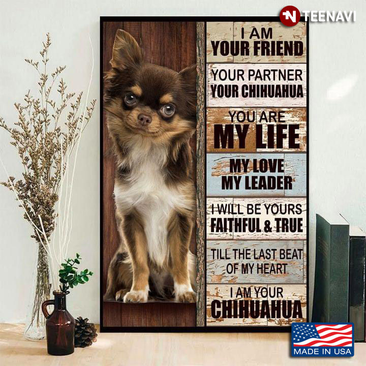 Vintage Long-haired Chihuahua I Am Your Friend Your Partner Your Chihuahua