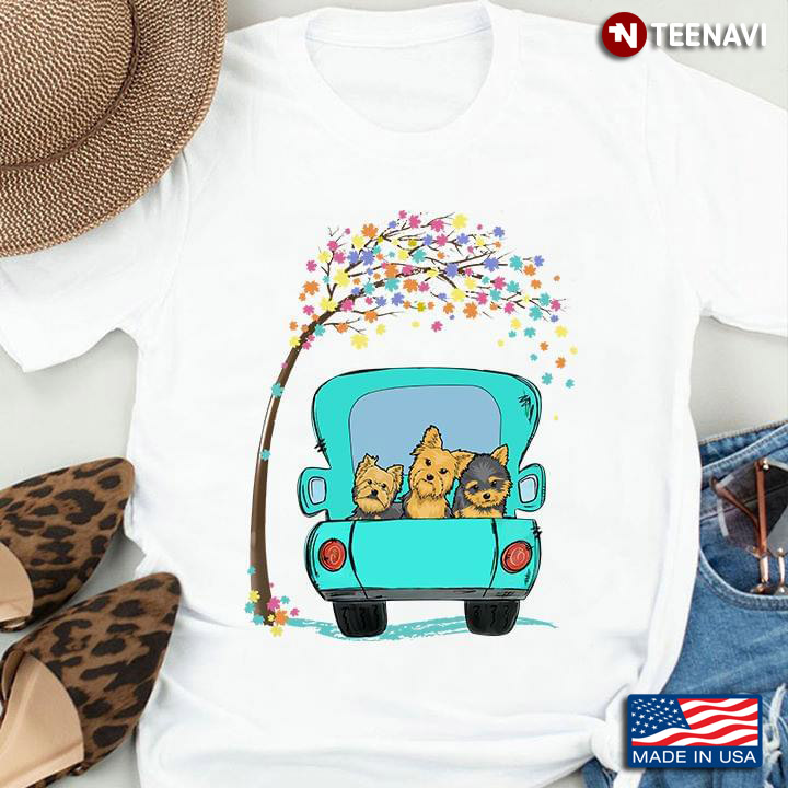 Yorkshire Terriers Sitting Car For Dog Lovers