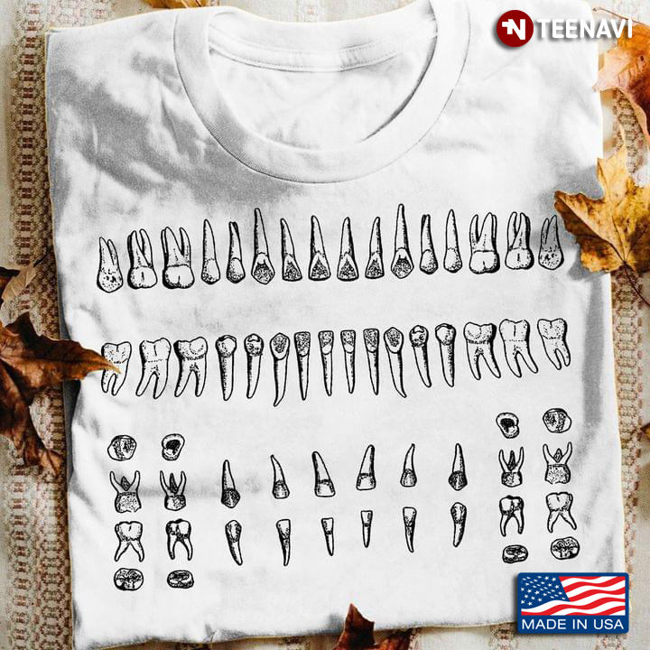 Teeth For Dental Lovers