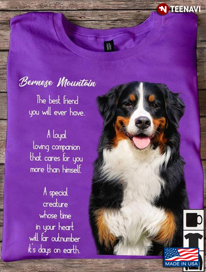 Bernese Mountain The Best Friend You Will Ever Have A Loyal Loving Companion That Cares For You