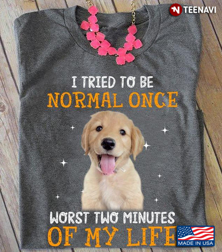 Labrador I Tried To Be Normal Once Worst Two Minutes Of My Life For Dog Lover