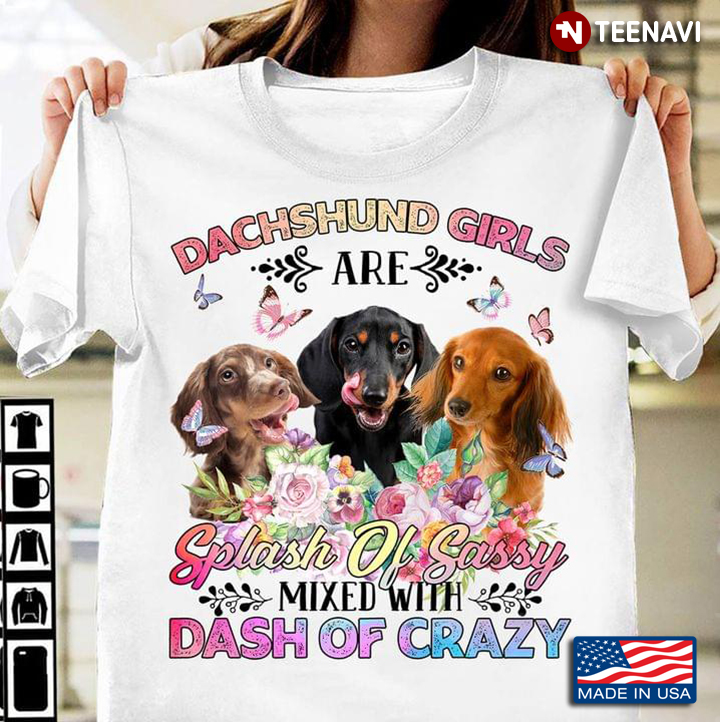 Dachshund Girls Are Splash Of Sassy Mixed With Dash Of Crazy For Dog Lovers