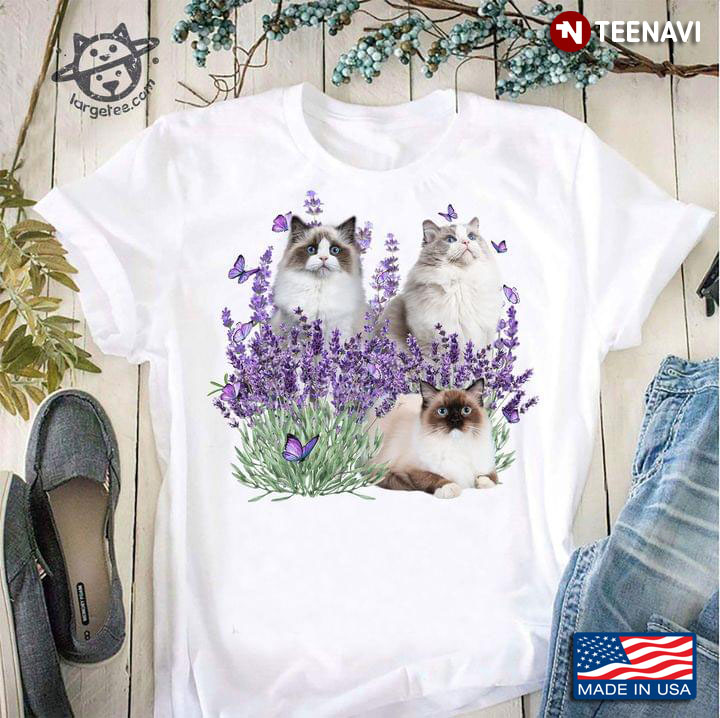 Ragdoll Cats Purple Butterflies and Lavender Flower for Cat Lover
