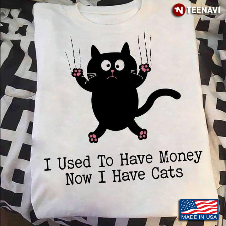 I Used To Have Money Now I Have Cats Funny Black Kitten for Cat Lover