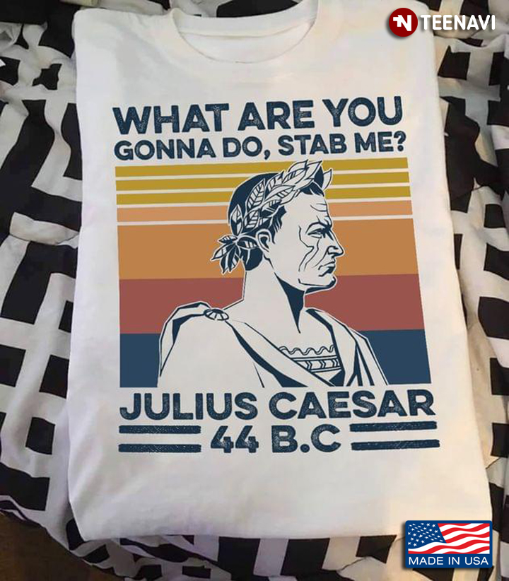 What Are You Gonna Do Stab Me Julius Caesar 44 B.C Vintage Style