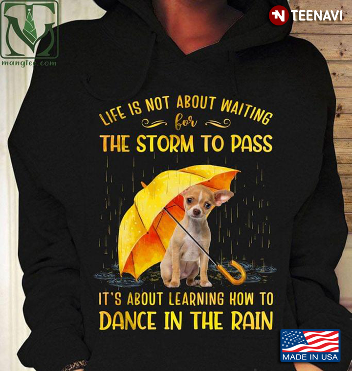 Chihuahua Puppy Life Is Not About Waiting The Storm To Pass It’s About Leaning How To Dance