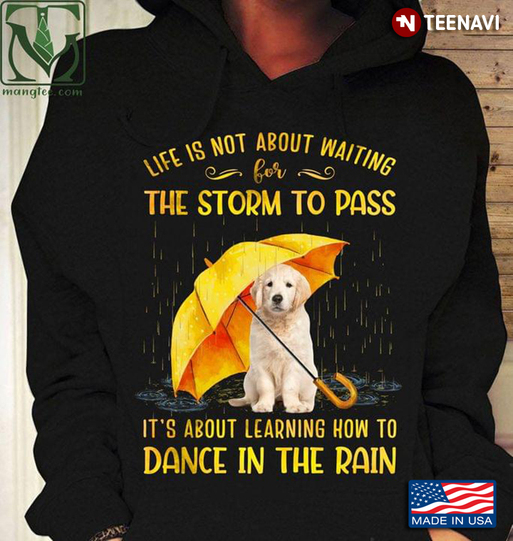 Golden Retriever Puppy Life Is Not About Waiting The Storm To Pass It’s About Leaning How To Dance