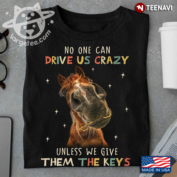 No One Can Drive Us Crazy Unless We Give Theme The Keys Funny Horse for Animal Lover