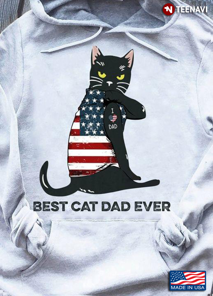 Best Cat Dad Ever Funny Grumpy Cat with American Flag for Cat Lover