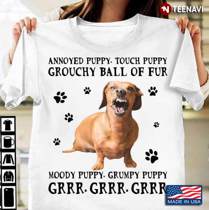 Annoyed Puppy Touch Puppy Grouchy Ball of Fur Moody Puppy Grumpy Puppy Angry Dachshund