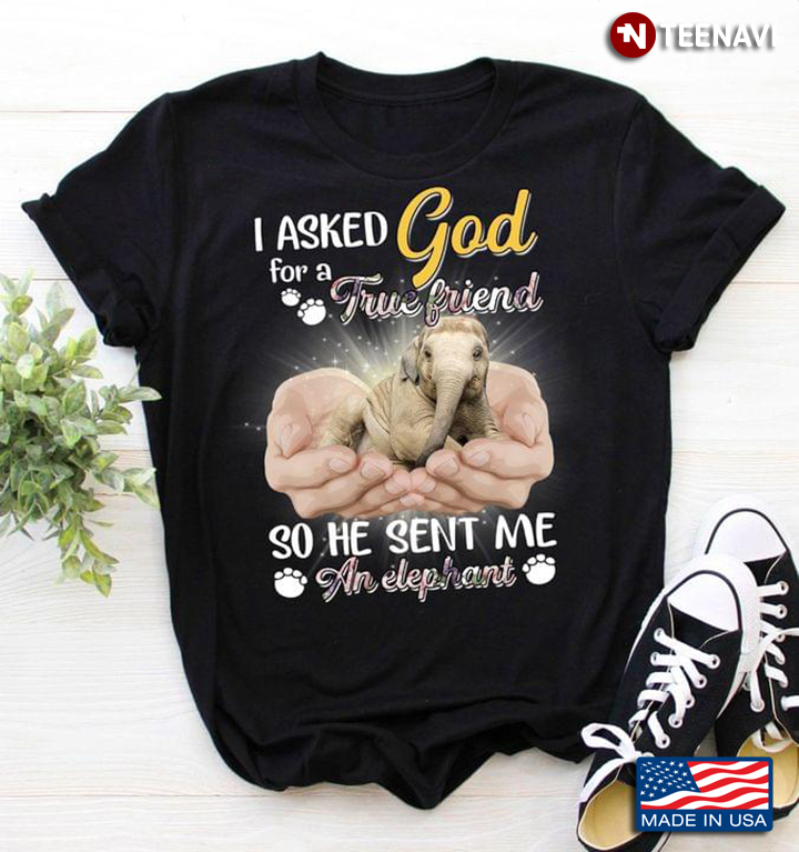 I Asked God for A True Friend so He Sent Me An Elephant Adorable Design for Animal Lover