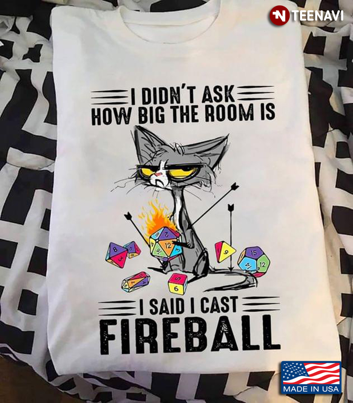 I Didn’t Ask How Big The Room Is I Said I Cast Fireball Grumpy Cat With Dungeon
