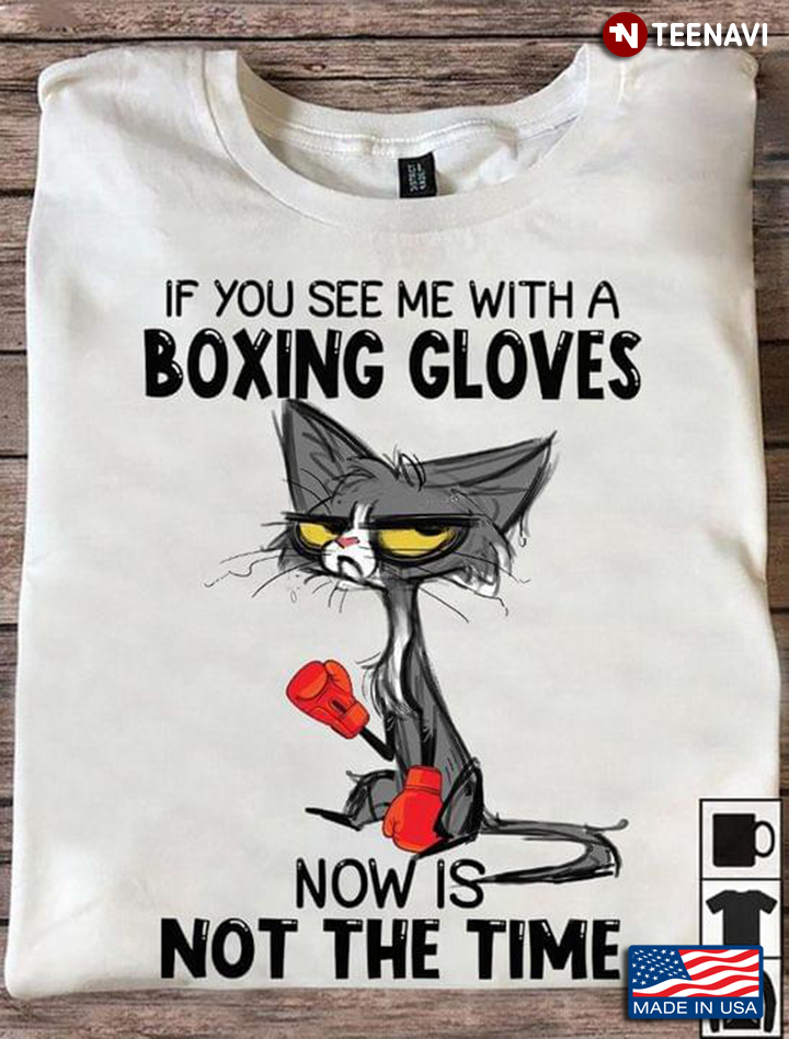 Grumpy Cat If You See Me With A Boxing Gloves Now Is Not The Time For Cat Lover