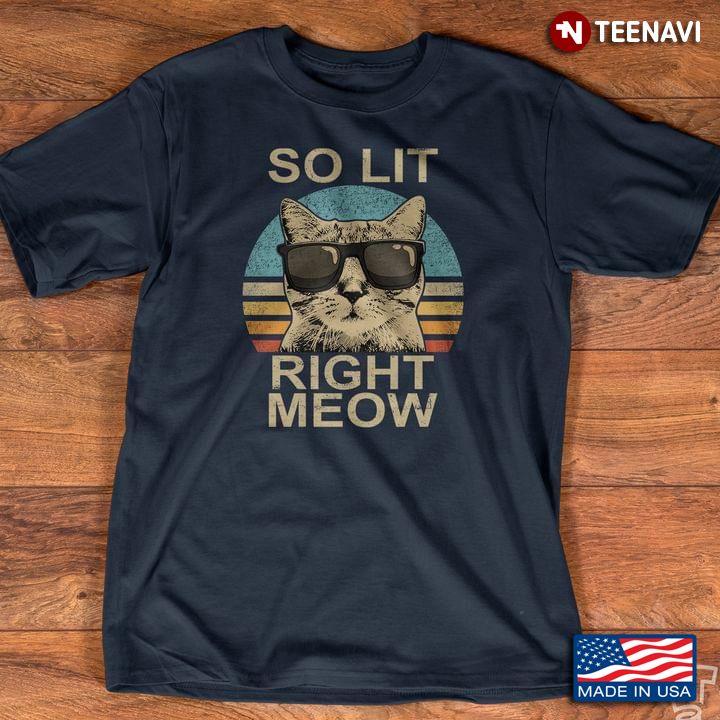 Vintage Cute Cat So Lit Right Meow For Cat Lover New Version