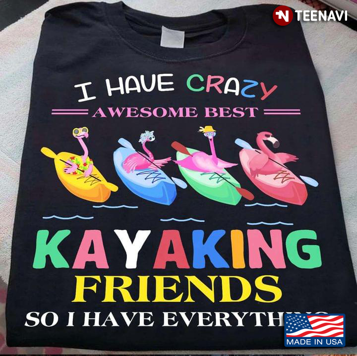 Flamingos I Have Crazy Awesome Best Kayaking Friends So I Have Everything