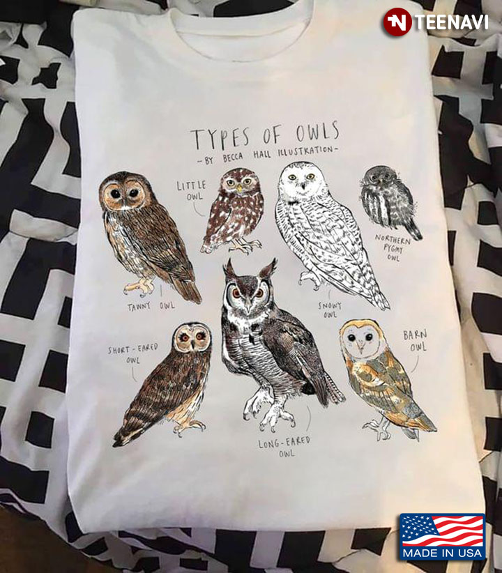 Types Of Owls By Becca Hall Illustration For Owl Lover