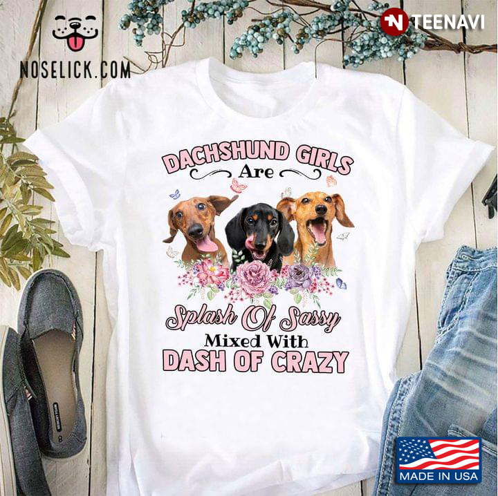 Dachshund Girls Are Splash Of Sassy Mixed With Dash Of Crazy For Dog Lover