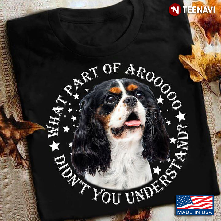 Cavalier King Charles Spaniel What Part Of Arooooo Didn’t You Understand For Dog Lover
