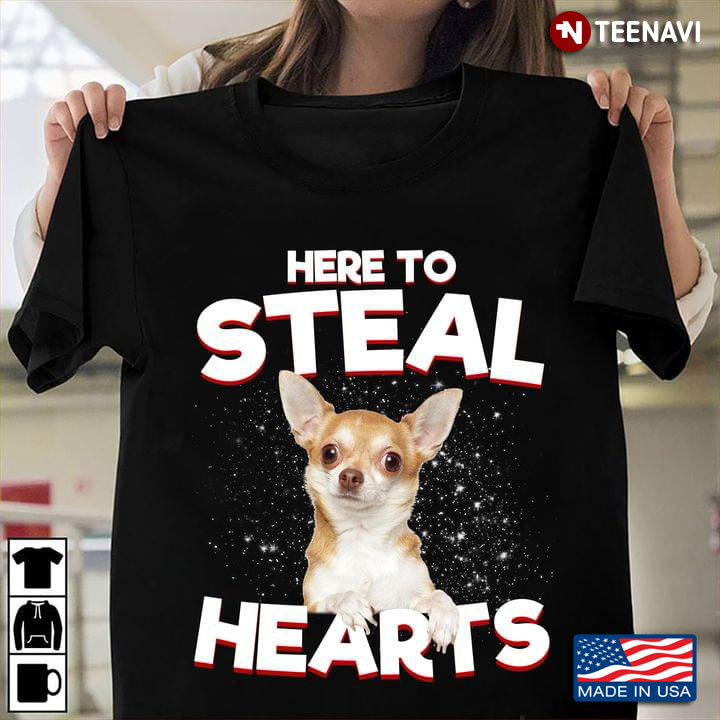 Chihuahua Here To Steal Hearts For Dog Lover