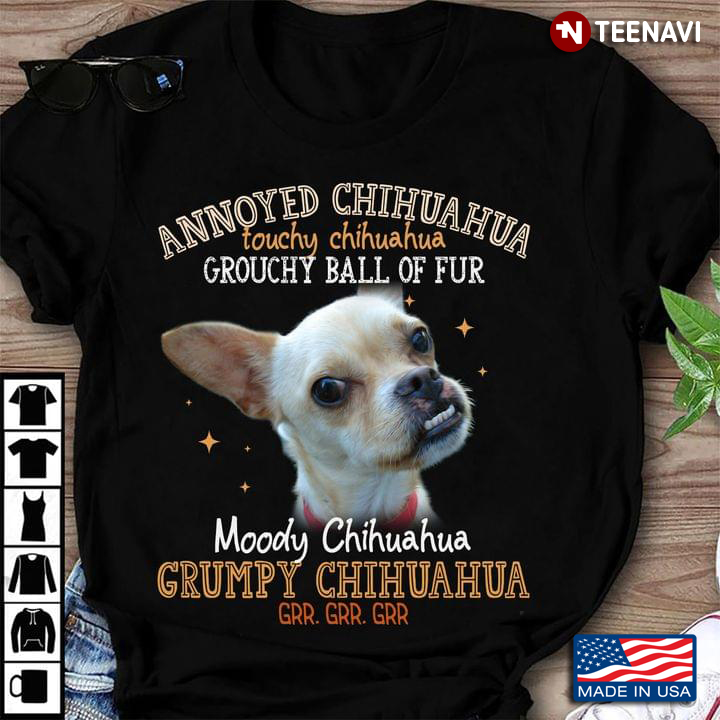 Annoyed Chihuahua Touchy Chihuahua Grouchy Ball Of Fur Moody Chihuahua