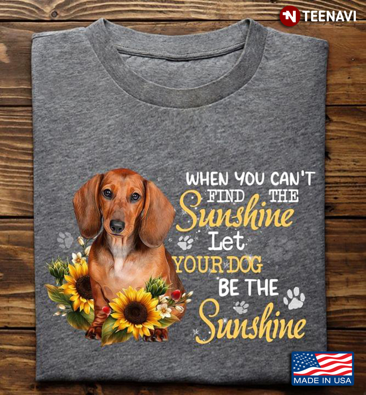 Dachshund When You Can’t Find The Sunshine Let Your Dog Be The Sunshine