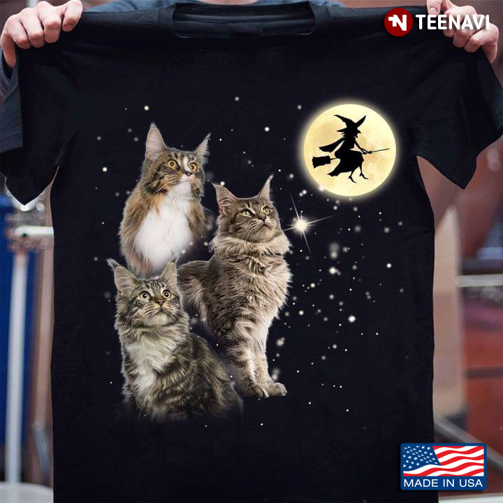 Maine Coon Cats Looking At Witch In Magic Sky