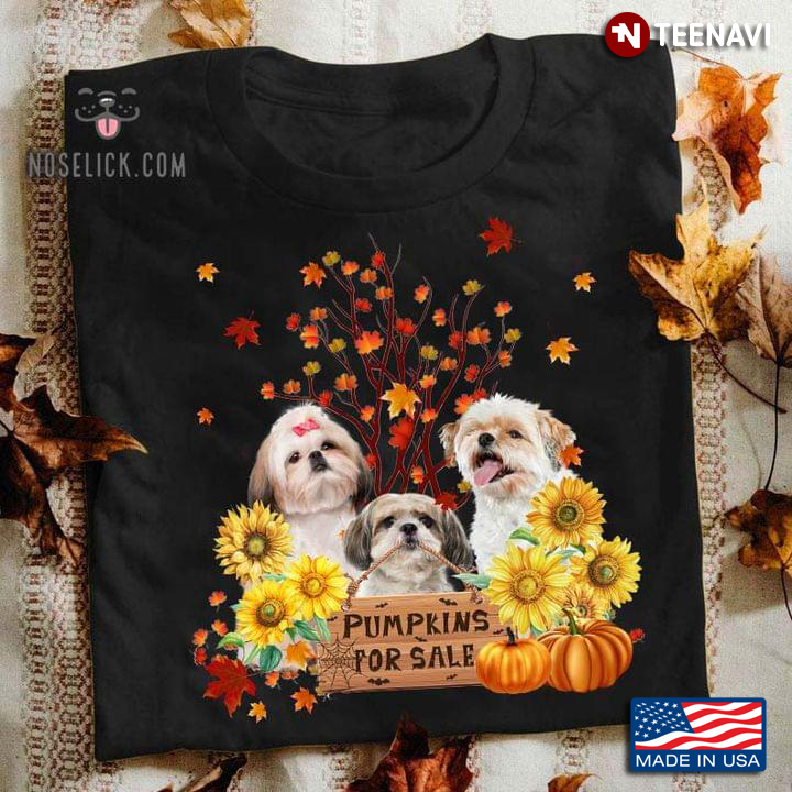 Fall Shih Tzu Dogs With Pumpkin And Autumn Pumpkins For Sale