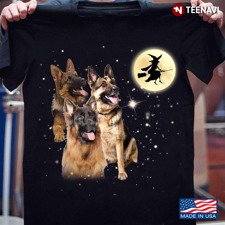 German Shepherd Dogs Are Looking At Witch