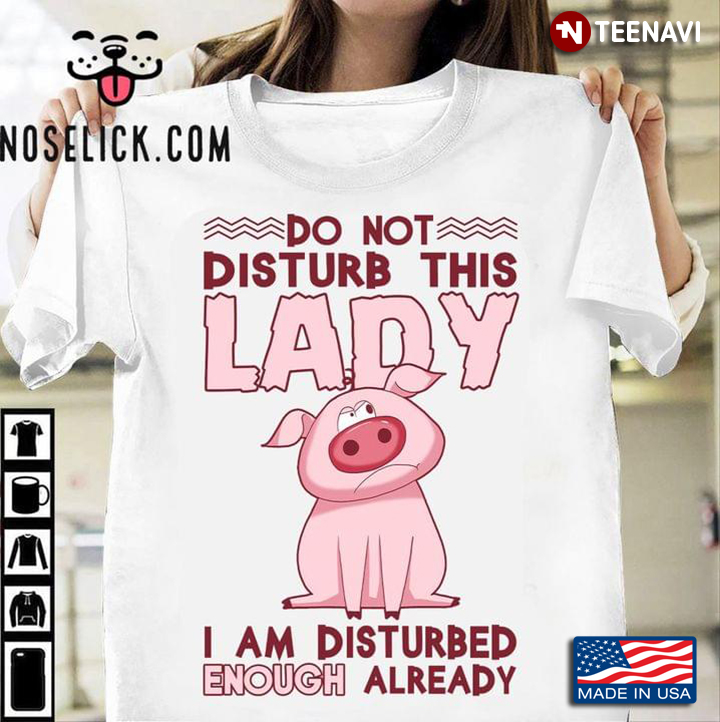 Do Not Disturb This Lady I Am Disturbed Enough Already Funny Pig
