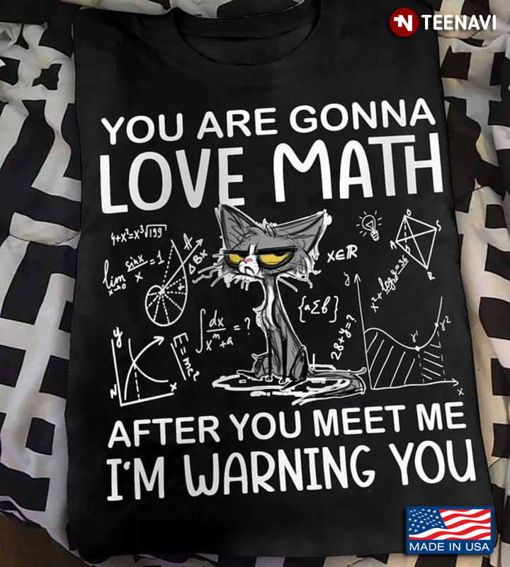 You Are Gonna Love Math After You Meet Me I'm Warning You Grumpy Grey Cat Funny Design