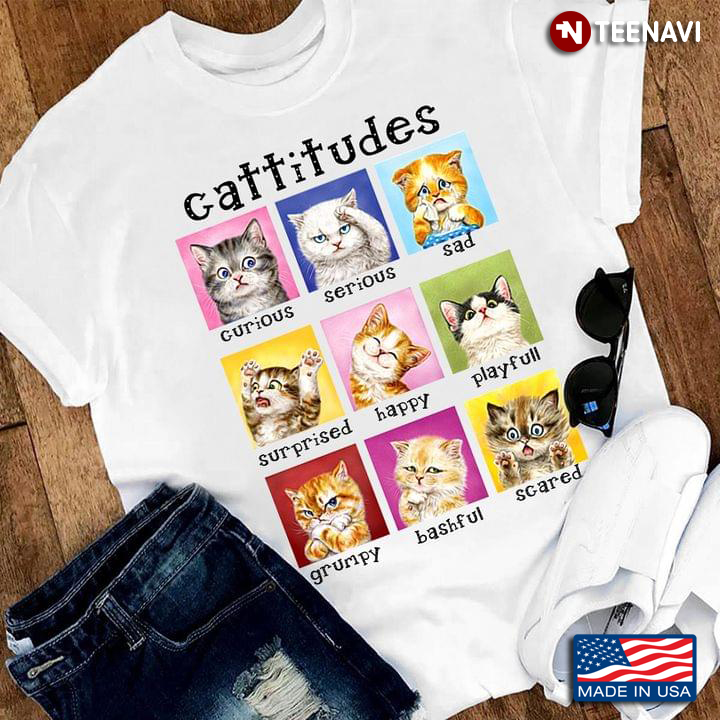 Cattitudes Curious Serious Sad Surprised Happy Playfull Funny for Cat Lover