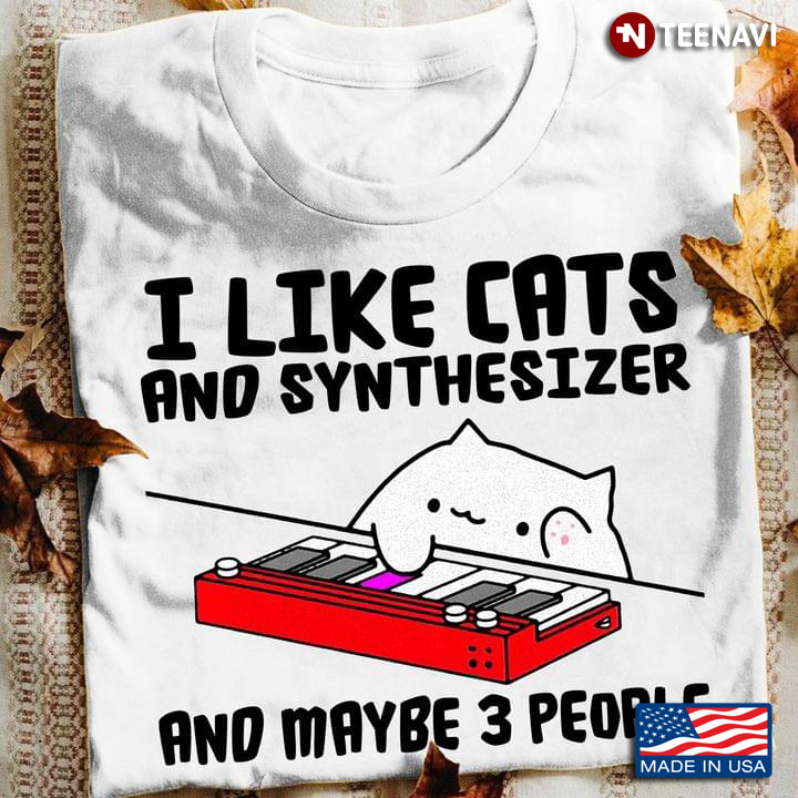 I Like Cat and Synthesizer and Maybe 3 People